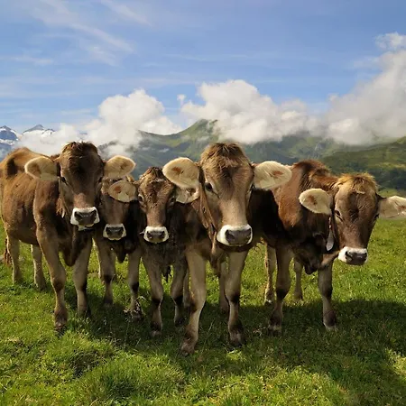 Brugger Апарт-готель Майргофен