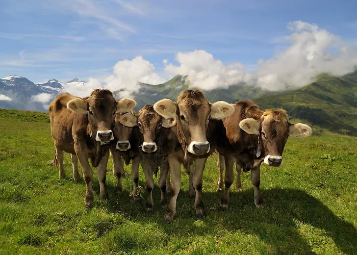 Brugger Lägenhetshotell Mayrhofen