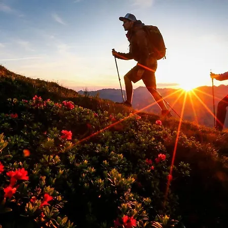 Brugger 4* 迈尔霍芬