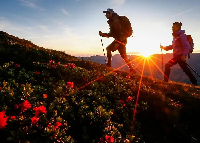 Brugger 4* مايرهوفن