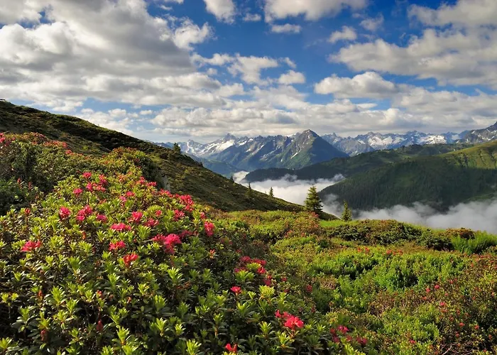 Brugger 4* مايرهوفن